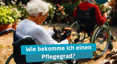 Pflegegrade einfach erklärt